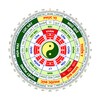 鲨鱼剧场