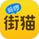 鸽报